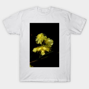 Wet Wattle T-Shirt